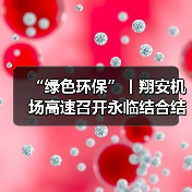 “绿色环保”丨翔安机场高速召开永临结合结构方案研讨会（图2）
