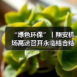“绿色环保”丨翔安机场高速召开永临结合结构方案研讨会（图3）