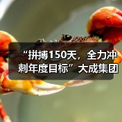 “拼搏150天，全力冲刺年度目标”大成集团2021劳动竞赛正式开始！（图3）