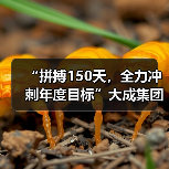 “拼搏150天，全力冲刺年度目标”大成集团2021劳动竞赛正式开始！（图1）