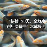 “拼搏150天，全力冲刺年度目标”大成集团2021劳动竞赛正式开始！（图4）