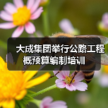 大成集团举行公路工程概预算编制培训（图1）