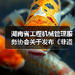 湖南省工程机械管理服务协会关于发布《非道路移动工程机械二手设备评估通则》团体标准的公告（图1）