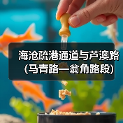 海沧疏港通道与芦澳路（马青路—翁角路段）沥青路面及剩余附属工程项目经理部举行揭牌仪式（图1）