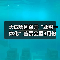 大成集团召开“业财一体化”宣贯会暨3月份生产调度会（图2）