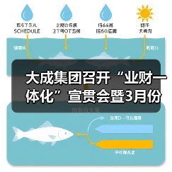 大成集团召开“业财一体化”宣贯会暨3月份生产调度会（图4）
