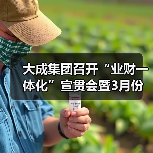 大成集团召开“业财一体化”宣贯会暨3月份生产调度会（图3）