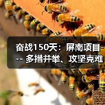 奋战150天：屏南项目--- 多措并举、攻坚克难保目标（图3）