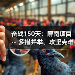 奋战150天：屏南项目--- 多措并举、攻坚克难保目标（图4）