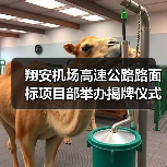 翔安机场高速公路路面标项目部举办揭牌仪式（图1）
