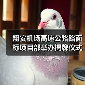 翔安机场高速公路路面标项目部举办揭牌仪式（图3）