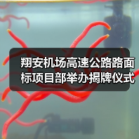 翔安机场高速公路路面标项目部举办揭牌仪式（图4）