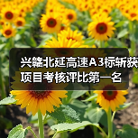 兴赣北延高速A3标斩获项目考核评比第一名(图1) 兴赣北延高速A3标斩获项目考核评比第一名(图1)