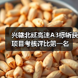兴赣北延高速A3标斩获项目考核评比第一名(图3) 兴赣北延高速A3标斩获项目考核评比第一名(图3)
