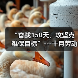 “奋战150天，攻坚克难保目标”---十月劳动竞赛报道（图2）