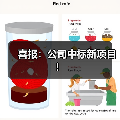喜报：公司中标新项目！（图4）