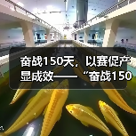 奋战150天,以赛促产显成效——“奋战150天,攻坚克难保目标” 劳动竞赛活动圆满结束(图2) 奋战150天,以赛促产显成效——“奋战150天,攻坚克难保目标” 劳动竞赛活动圆满结束(图2)
