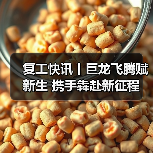 复工快讯丨巨龙飞腾赋新生 携手犇赴新征程（图2）