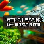 复工快讯丨巨龙飞腾赋新生 携手犇赴新征程（图4）