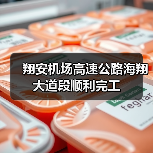 翔安机场高速公路海翔大道段顺利完工（图2）