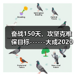 奋战150天，攻坚克难保目标------大成2020年劳动竞赛活动正式拉开序幕（图4）
