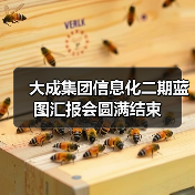 大成集团信息化二期蓝图汇报会圆满结束(图1) 大成集团信息化二期蓝图汇报会圆满结束(图1)