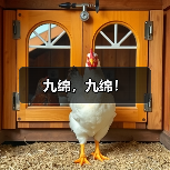 九绵，九绵！（图4）