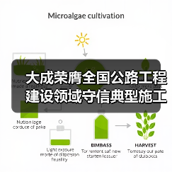 大成荣膺全国公路工程建设领域守信典型施工企业（图3）
