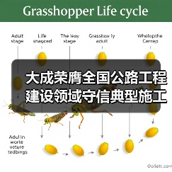 大成荣膺全国公路工程建设领域守信典型施工企业（图4）