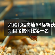 兴赣北延高速A3标斩获项目考核评比第一名(图4) 兴赣北延高速A3标斩获项目考核评比第一名(图4)