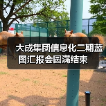 大成集团信息化二期蓝图汇报会圆满结束(图3) 大成集团信息化二期蓝图汇报会圆满结束(图3)
