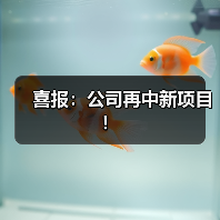 喜报：公司再中新项目！（图3）