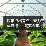 攻难点出亮点，奋力完成目标--- 武夷大布村项目顺利完成年度目标任务（图1）