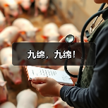 九绵,九绵!(图3) 九绵,九绵!(图3)