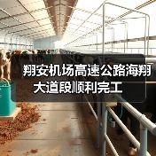 翔安机场高速公路海翔大道段顺利完工(图1) 翔安机场高速公路海翔大道段顺利完工(图1)