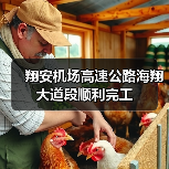 翔安机场高速公路海翔大道段顺利完工(图3) 翔安机场高速公路海翔大道段顺利完工(图3)