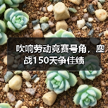 吹响劳动竞赛号角，鏖战150天争佳绩（图1）