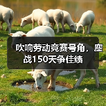 吹响劳动竞赛号角，鏖战150天争佳绩（图4）