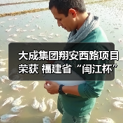 大成集团翔安西路项目荣获 福建省“闽江杯”优质工程奖(图2) 大成集团翔安西路项目荣获 福建省“闽江杯”优质工程奖(图2)