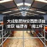 大成集团翔安西路项目荣获 福建省“闽江杯”优质工程奖(图1) 大成集团翔安西路项目荣获 福建省“闽江杯”优质工程奖(图1)