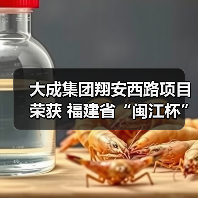 大成集团翔安西路项目荣获 福建省“闽江杯”优质工程奖(图3) 大成集团翔安西路项目荣获 福建省“闽江杯”优质工程奖(图3)
