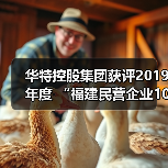 华特控股集团获评2019年度 “福建民营企业100强”、“福建民营制造业50强”(图1) 华特控股集团获评2019年度 “福建民营企业100强”、“福建民营制造业50强”(图1)