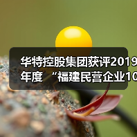 华特控股集团获评2019年度 “福建民营企业100强”、“福建民营制造业50强”(图3) 华特控股集团获评2019年度 “福建民营企业100强”、“福建民营制造业50强”(图3)