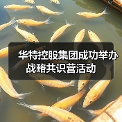 华特控股集团成功举办战略共识营活动（图1）