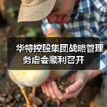 华特控股集团战略管理务虚会顺利召开(图1) 华特控股集团战略管理务虚会顺利召开(图1)
