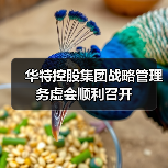 华特控股集团战略管理务虚会顺利召开(图4) 华特控股集团战略管理务虚会顺利召开(图4)