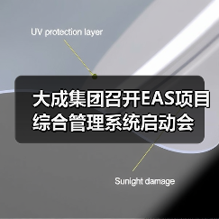 大成集团召开EAS项目综合管理系统启动会（图2）