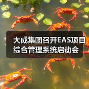 大成集团召开EAS项目综合管理系统启动会（图1）