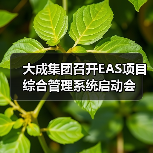 大成集团召开EAS项目综合管理系统启动会（图3）