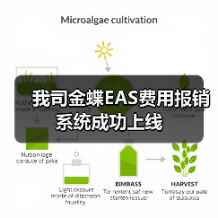 我司金蝶EAS费用报销系统成功上线(图4) 我司金蝶EAS费用报销系统成功上线(图4)